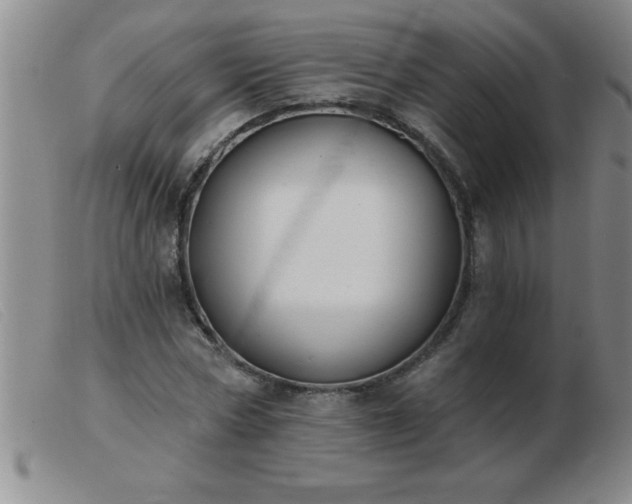 X0000103490778200809191921