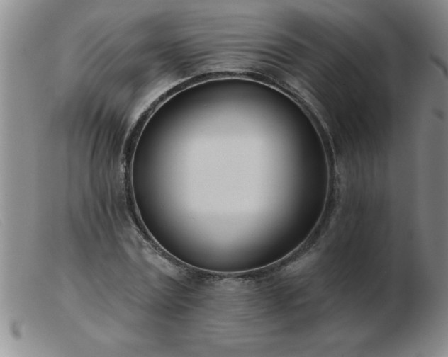 X0000103490779200809191921