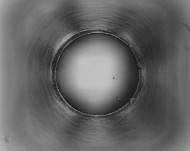 X0000103490780200809191921