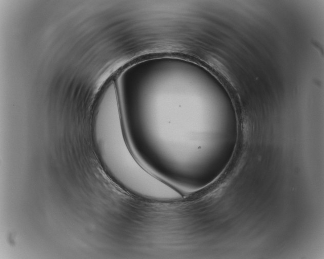 X0000103490781200809191921