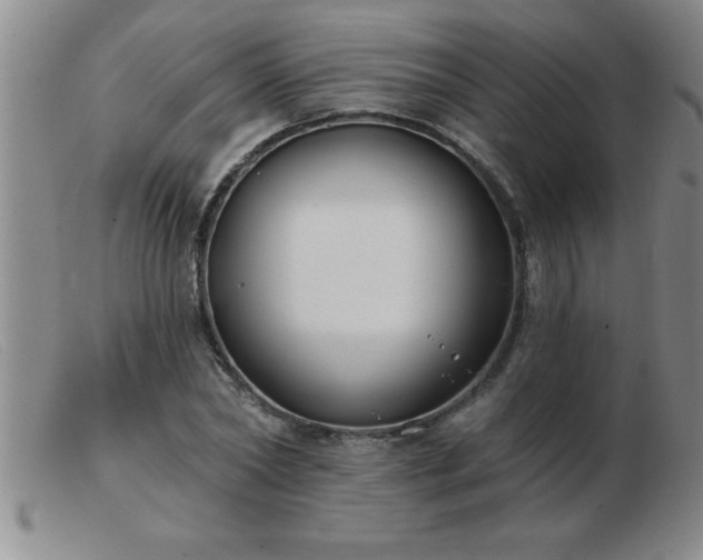 X0000103490782200809191921