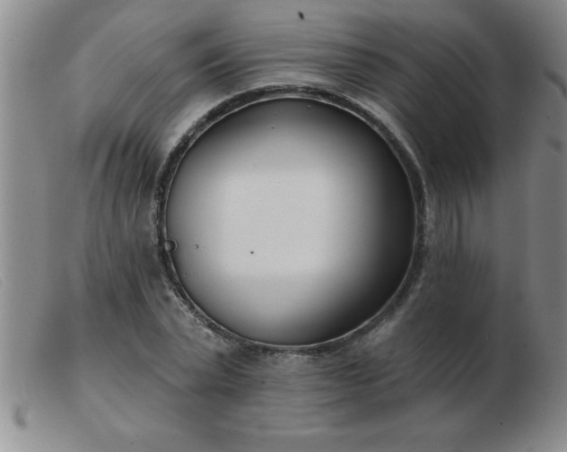 X0000103490783200809191921