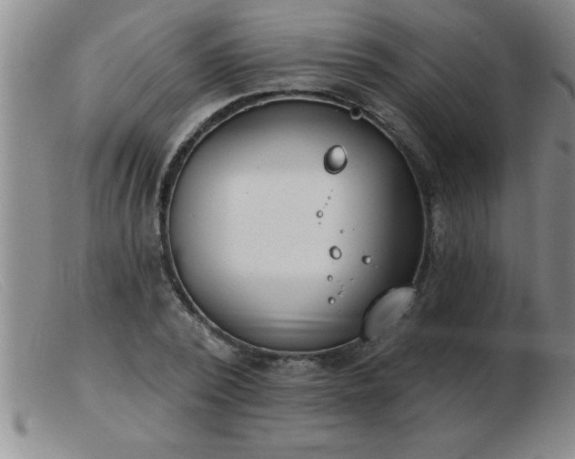 X0000103490784200809191921