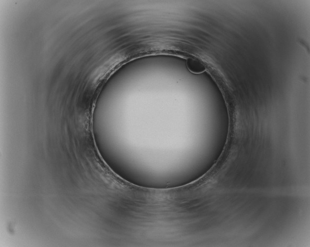 X0000103490785200809191921