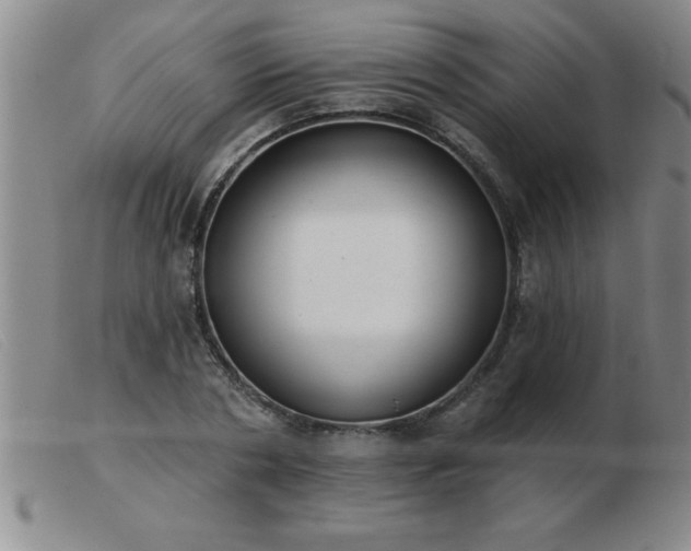 X0000103490786200809191921