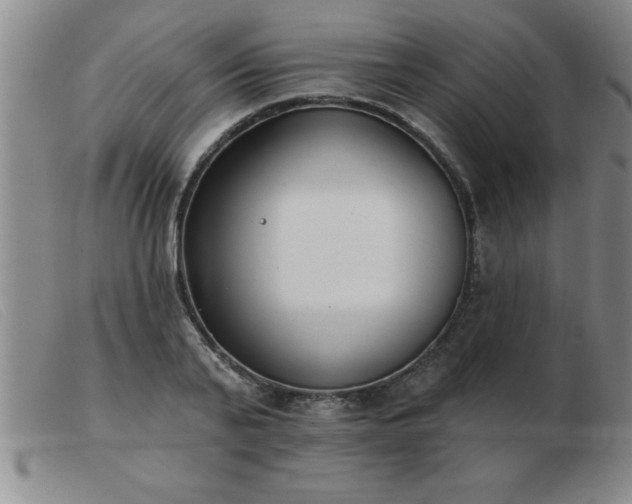 X0000103490791200809191921