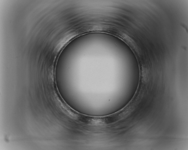 X0000103490794200809191921