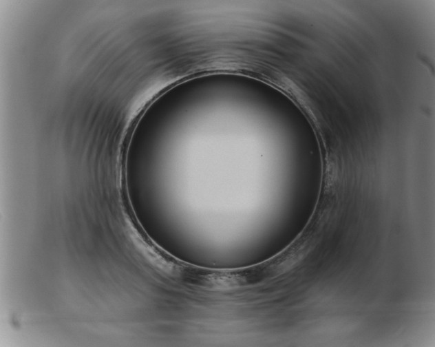 X0000103490795200809191921