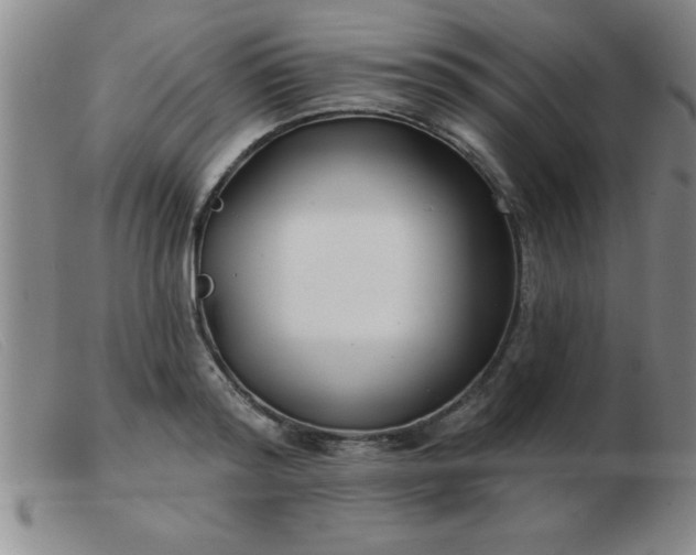 X0000103490796200809191921