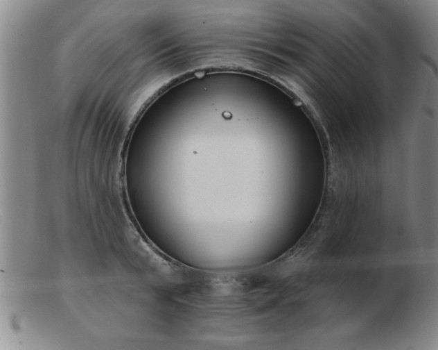 X0000103490799200809191921