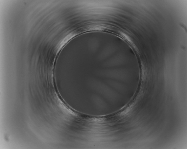 X0000103490802200809191921