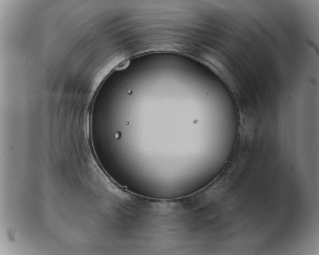 X0000103490804200809191921