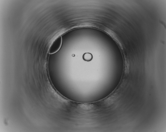 X0000103490805200809191921