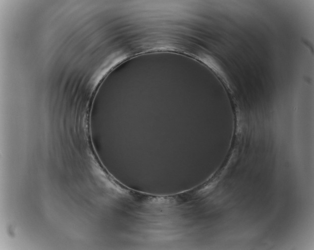 X0000103490806200809191921