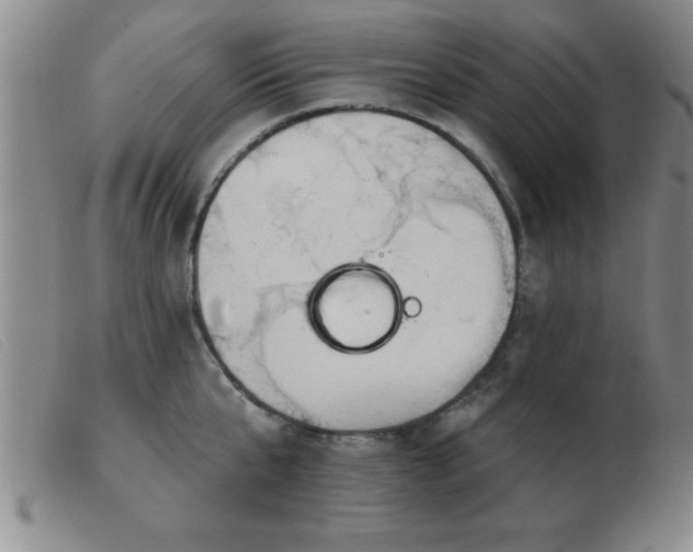 X0000103490807200809191921