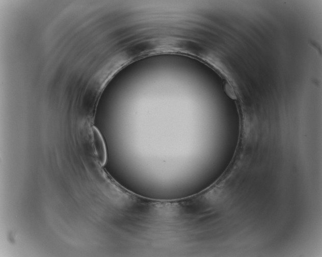 X0000103490809200809191921