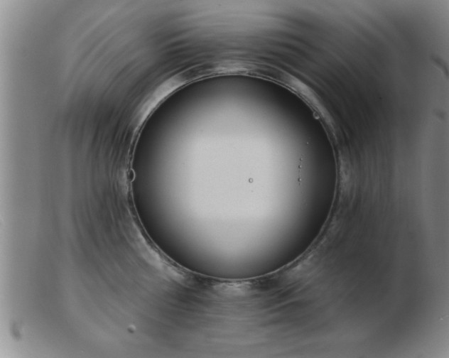 X0000103490810200809191921