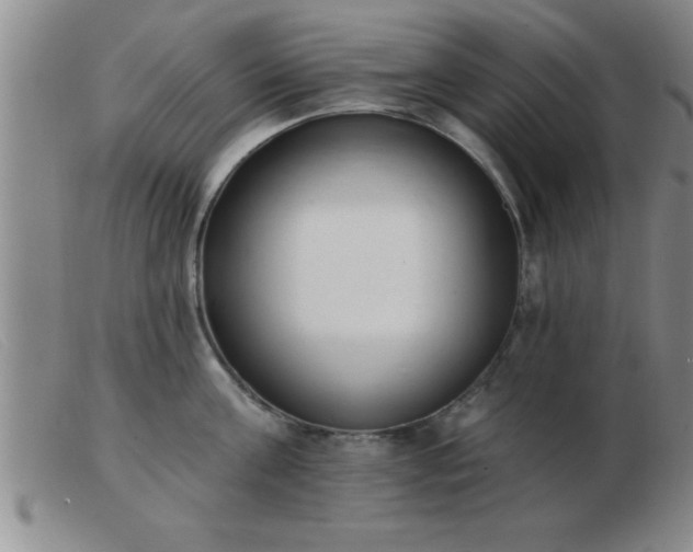 X0000103490811200809191921