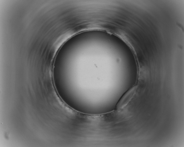 X0000103490813200809191921