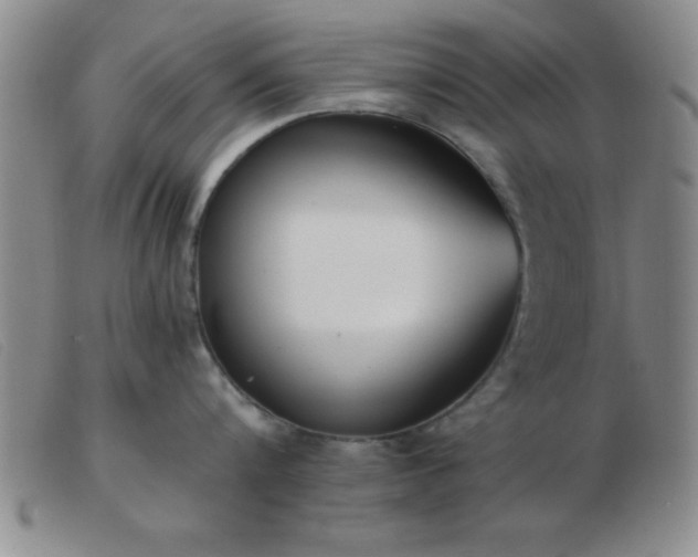 X0000103490816200809191921