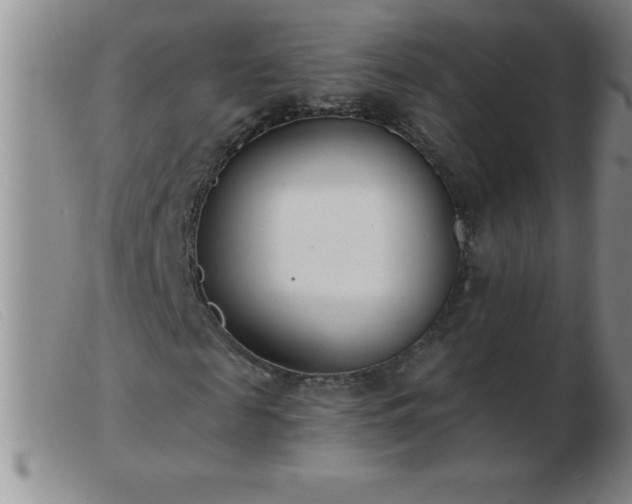 X0000103490817200809191920