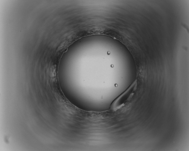 X0000103490818200809191920