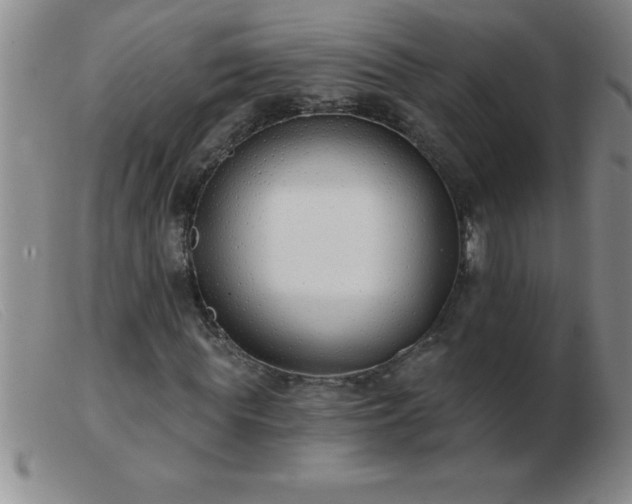 X0000103490819200809191920