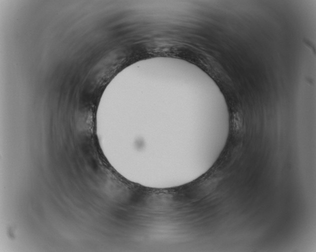 X0000103490820200809191920