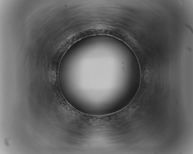 X0000103490821200809191920