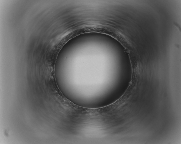 X0000103490822200809191920