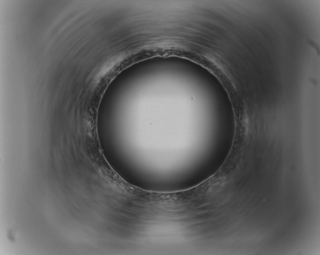 X0000103490823200809191920