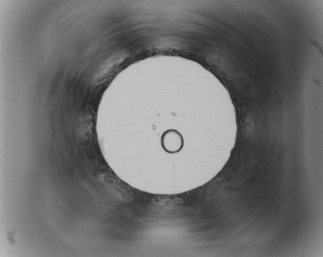 X0000103490824200809191920