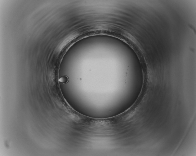 X0000103490826200809191920