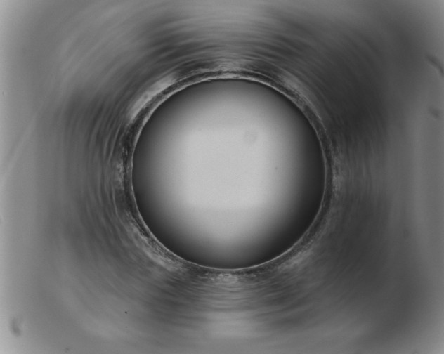 X0000103490827200809191920