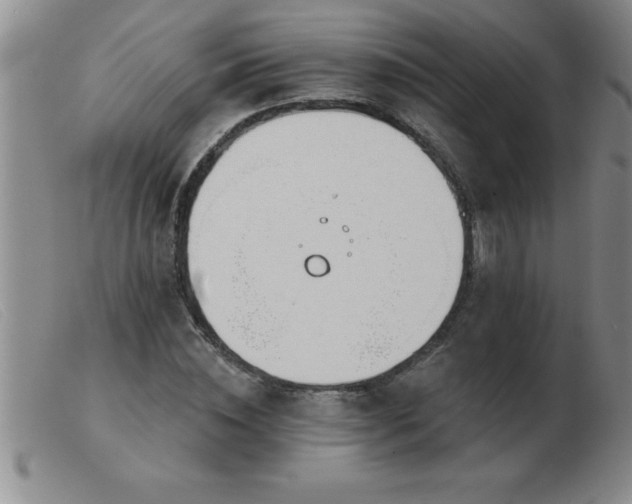 X0000103490828200809191920