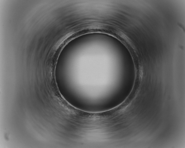 X0000103490829200809191920