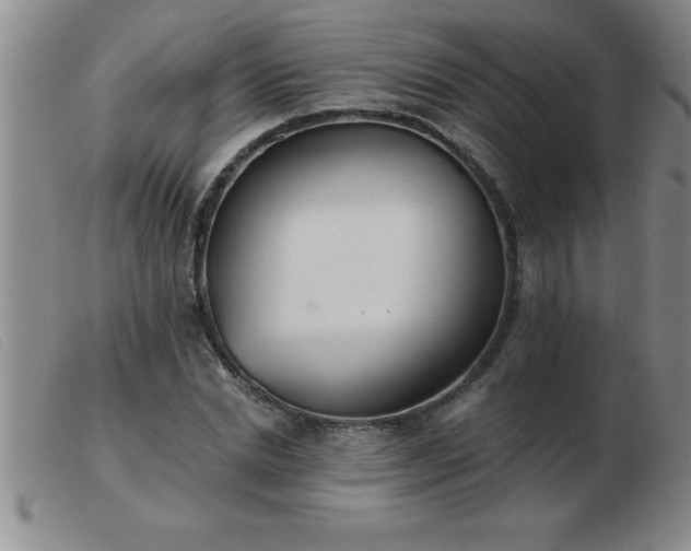 X0000103490830200809191920