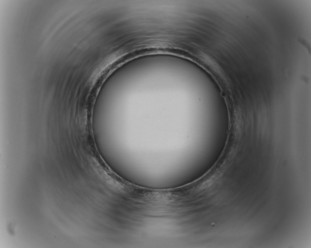 X0000103490831200809191920