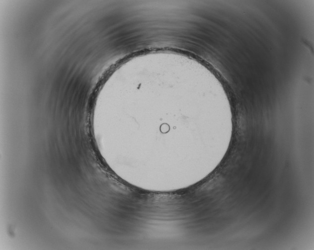 X0000103490832200809191920