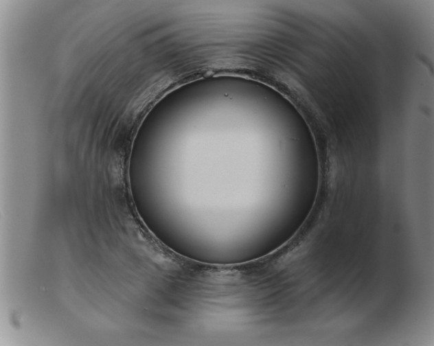 X0000103490833200809191920