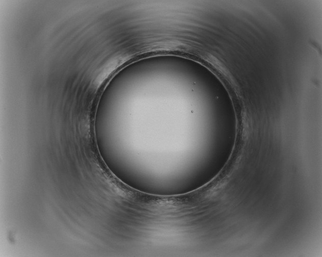 X0000103490834200809191920