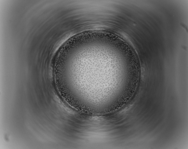 X0000103490835200809191920