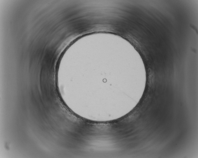 X0000103490836200809191920