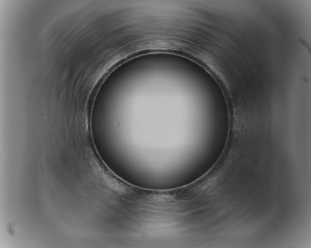 X0000103490837200809191920