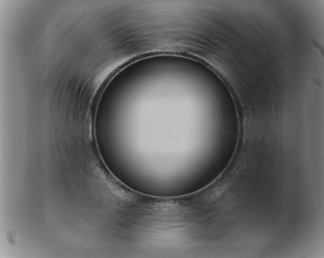 X0000103490838200809191920