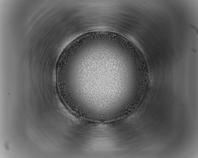 X0000103490839200809191920