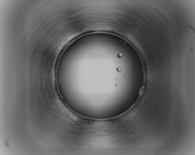 X0000103490840200809191920