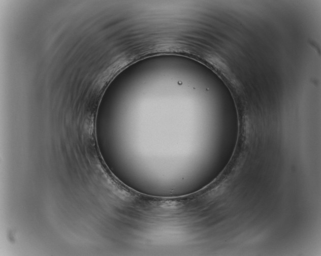 X0000103490841200809191920