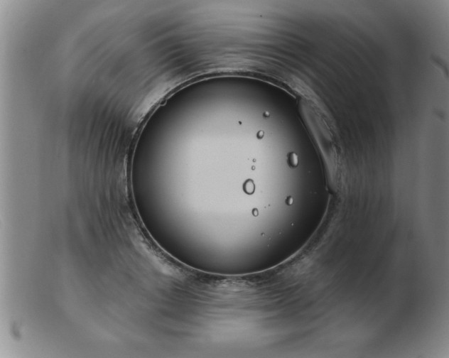 X0000103490842200809191920