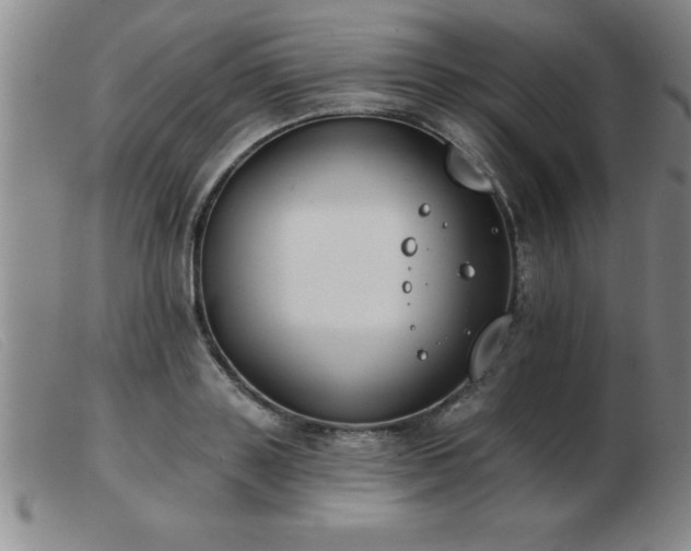 X0000103490843200809191920